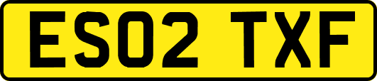 ES02TXF