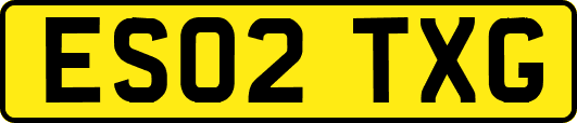 ES02TXG