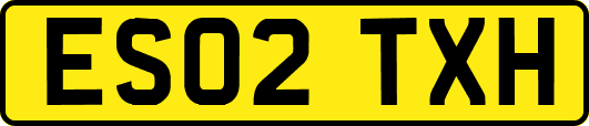 ES02TXH
