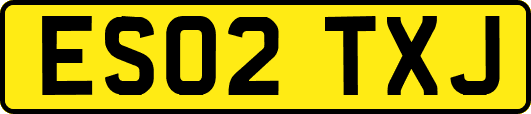 ES02TXJ
