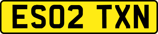 ES02TXN