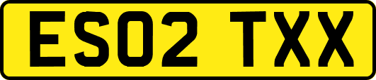 ES02TXX