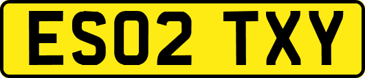 ES02TXY