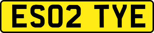 ES02TYE