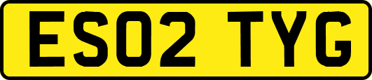 ES02TYG