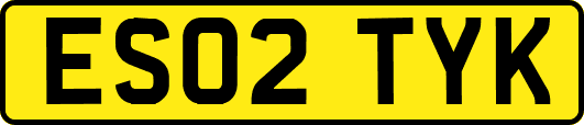 ES02TYK