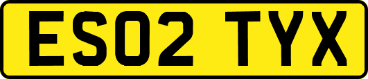 ES02TYX