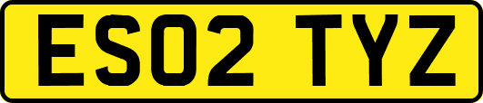 ES02TYZ