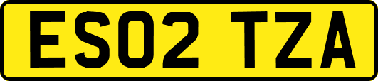 ES02TZA