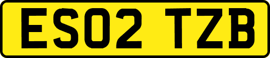 ES02TZB