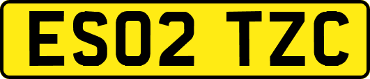 ES02TZC