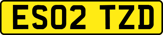 ES02TZD