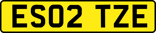 ES02TZE