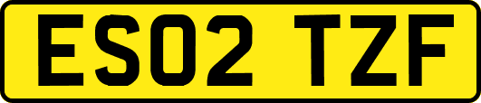 ES02TZF