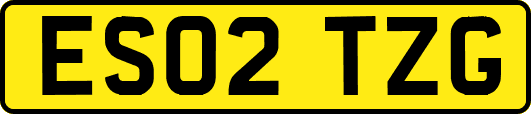 ES02TZG
