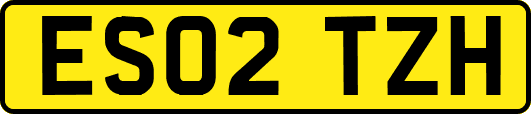 ES02TZH