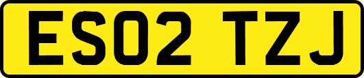 ES02TZJ