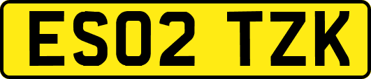 ES02TZK