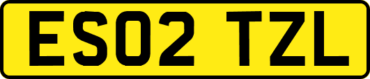 ES02TZL