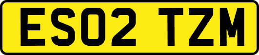 ES02TZM