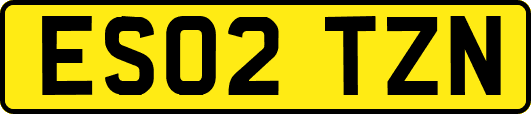 ES02TZN