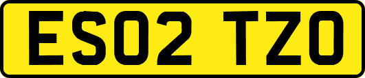 ES02TZO