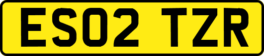 ES02TZR