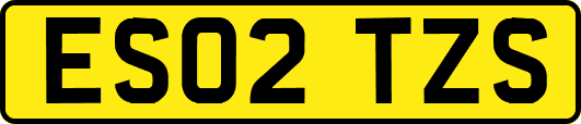 ES02TZS