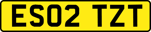 ES02TZT