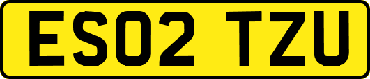 ES02TZU