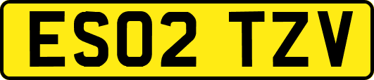 ES02TZV
