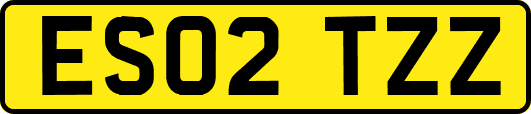 ES02TZZ