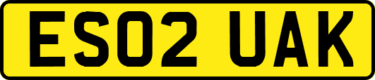 ES02UAK