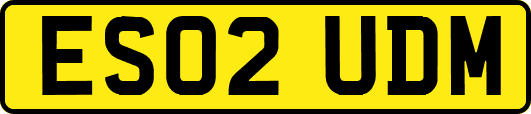 ES02UDM