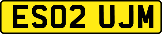ES02UJM