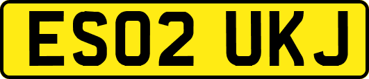 ES02UKJ