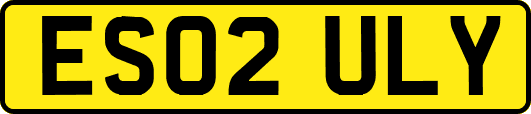 ES02ULY