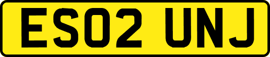 ES02UNJ