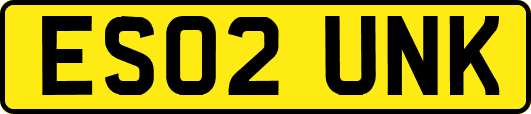 ES02UNK