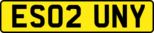 ES02UNY