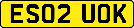 ES02UOK
