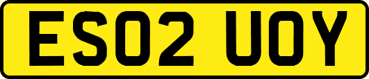 ES02UOY