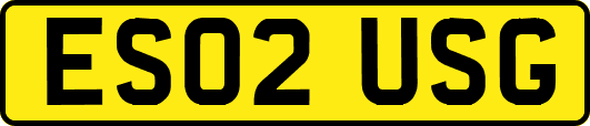 ES02USG
