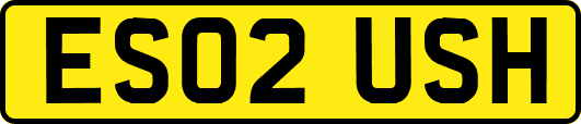 ES02USH