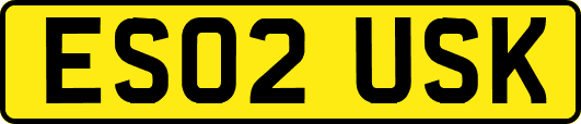 ES02USK
