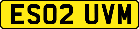 ES02UVM