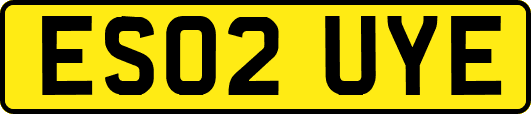 ES02UYE