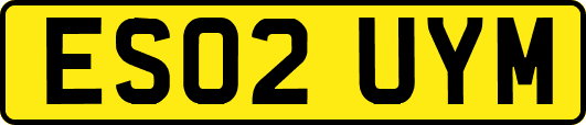 ES02UYM