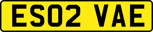 ES02VAE