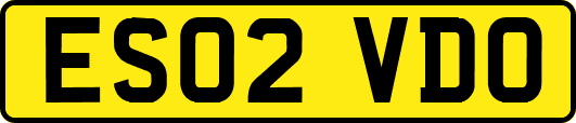 ES02VDO